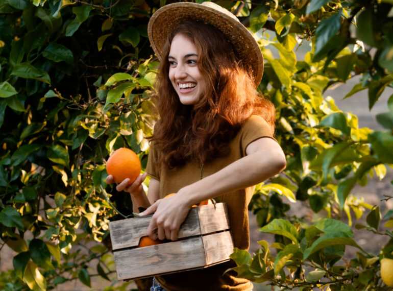 Organic Turmeric Support
